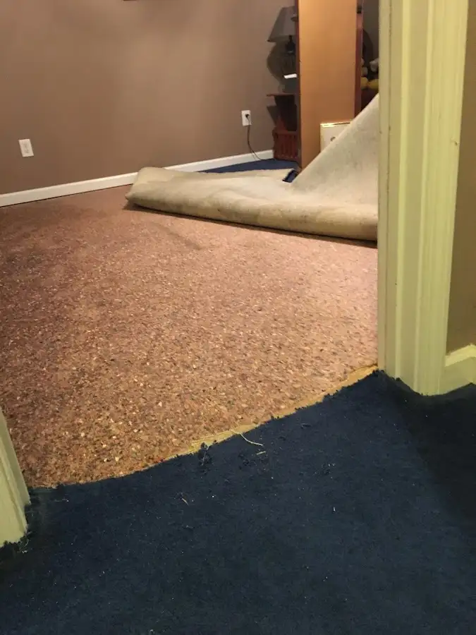 Carpet pad removal revealing water damage during Water Mitigation Services in Ramapo
